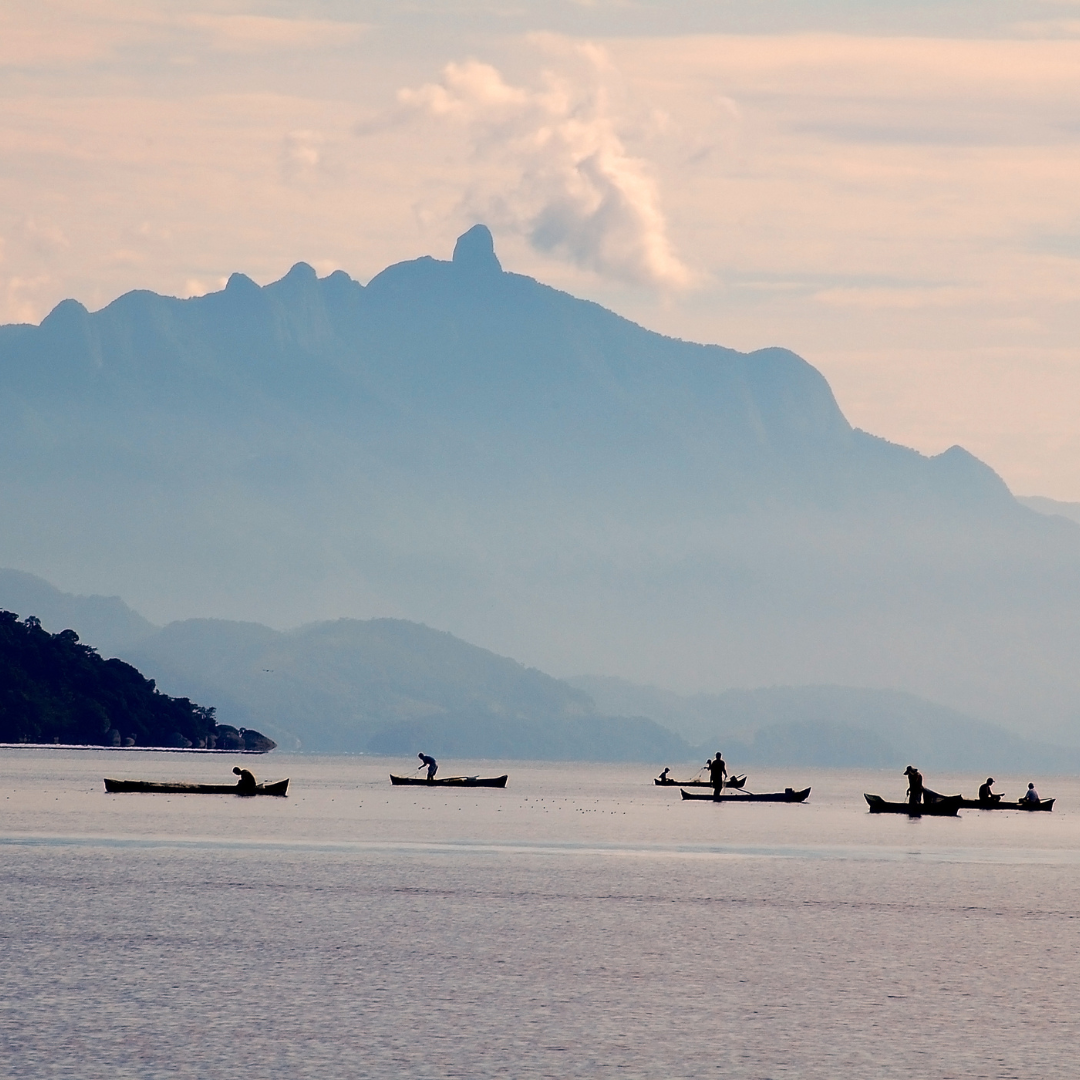 La pêche artisanale est-elle sur la voie de la durabilité ? 