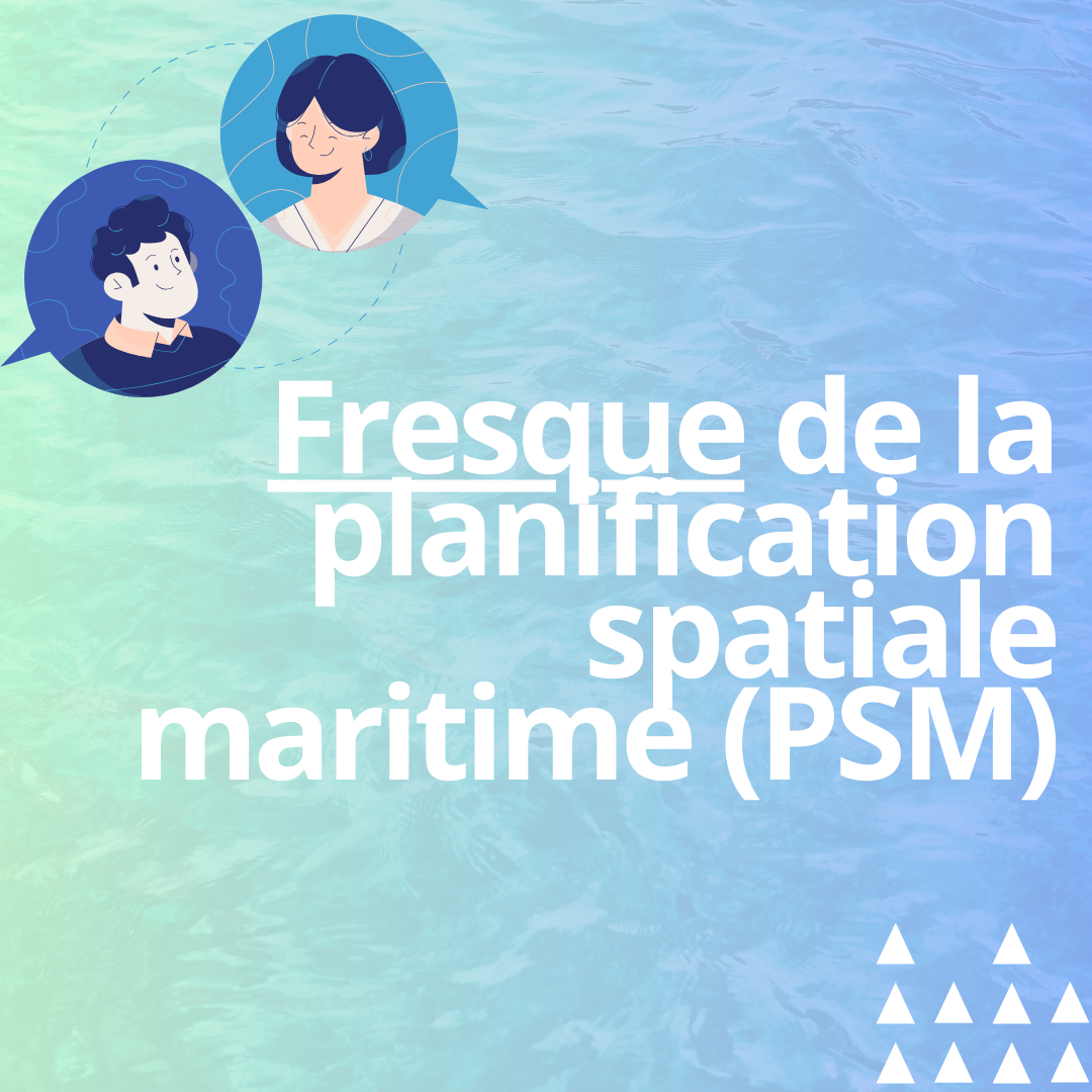 Fresque de la Planification Spatiale Maritime (en présentiel)